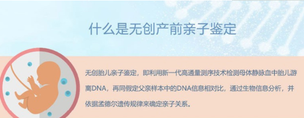 在[合肥]刚怀孕要如何办理亲子鉴定,合肥怀孕亲子鉴定要多少费用